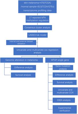 Identification of the m6A RNA Methylation Regulators WTAP as a Novel Prognostic Biomarker and Genomic Alterations in Cutaneous Melanoma